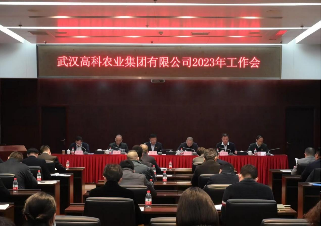 641d1a343f1f9 首页|bifa必发集团中国官方网站