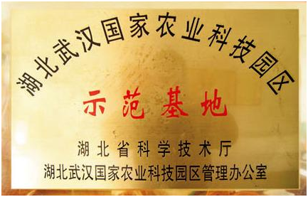 首页|bifa必发集团中国官方网站