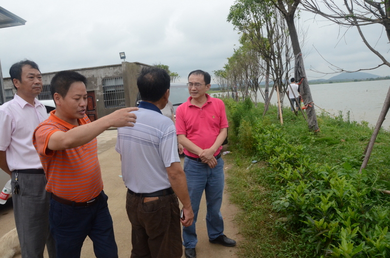 首页|bifa必发集团中国官方网站