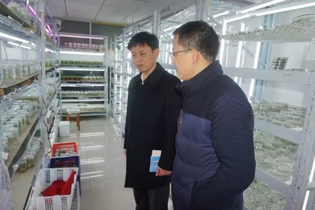 首页|bifa必发集团中国官方网站