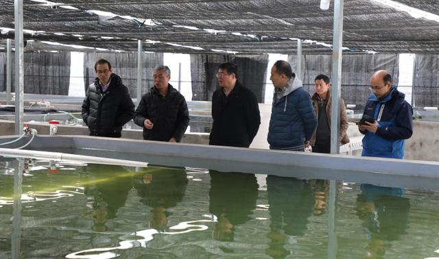 首页|bifa必发集团中国官方网站